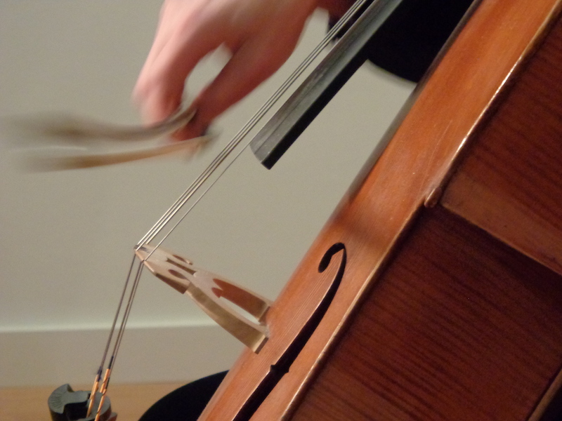 Ein Bild von Literatur. Musik. Märkte: